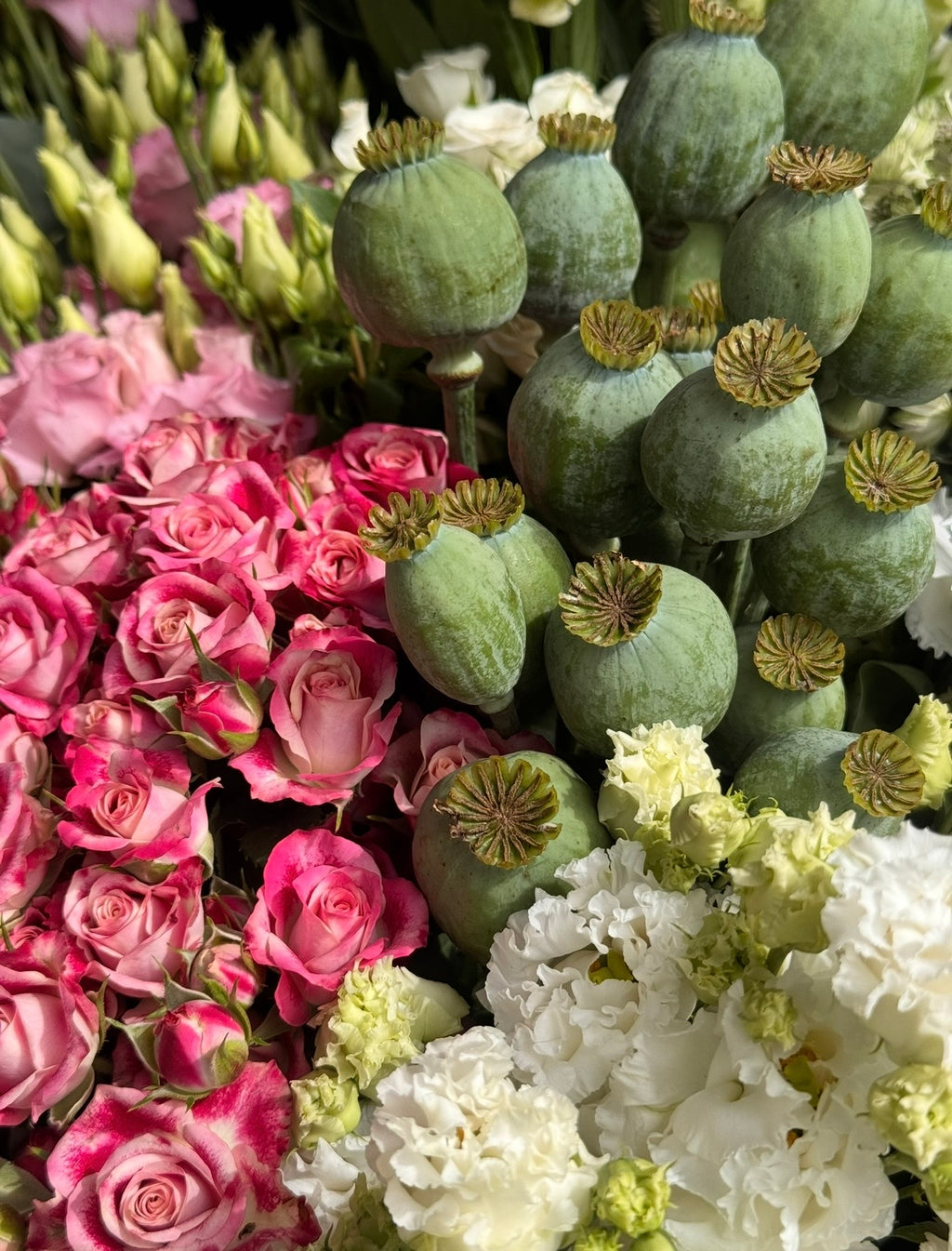 Rose Affair