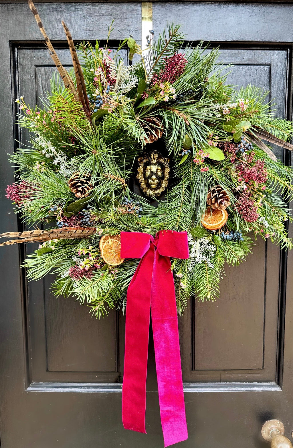 Winter Door
