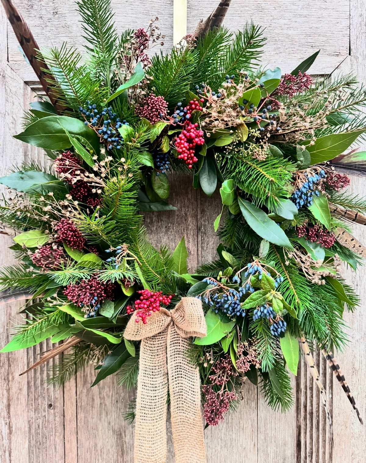 Winter Door