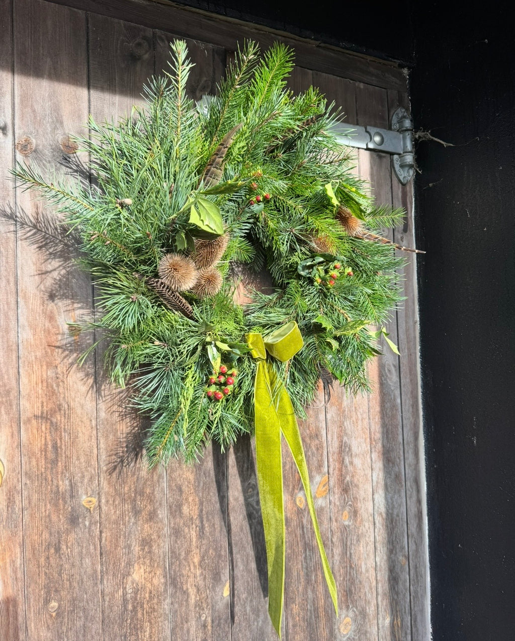 Winter Door