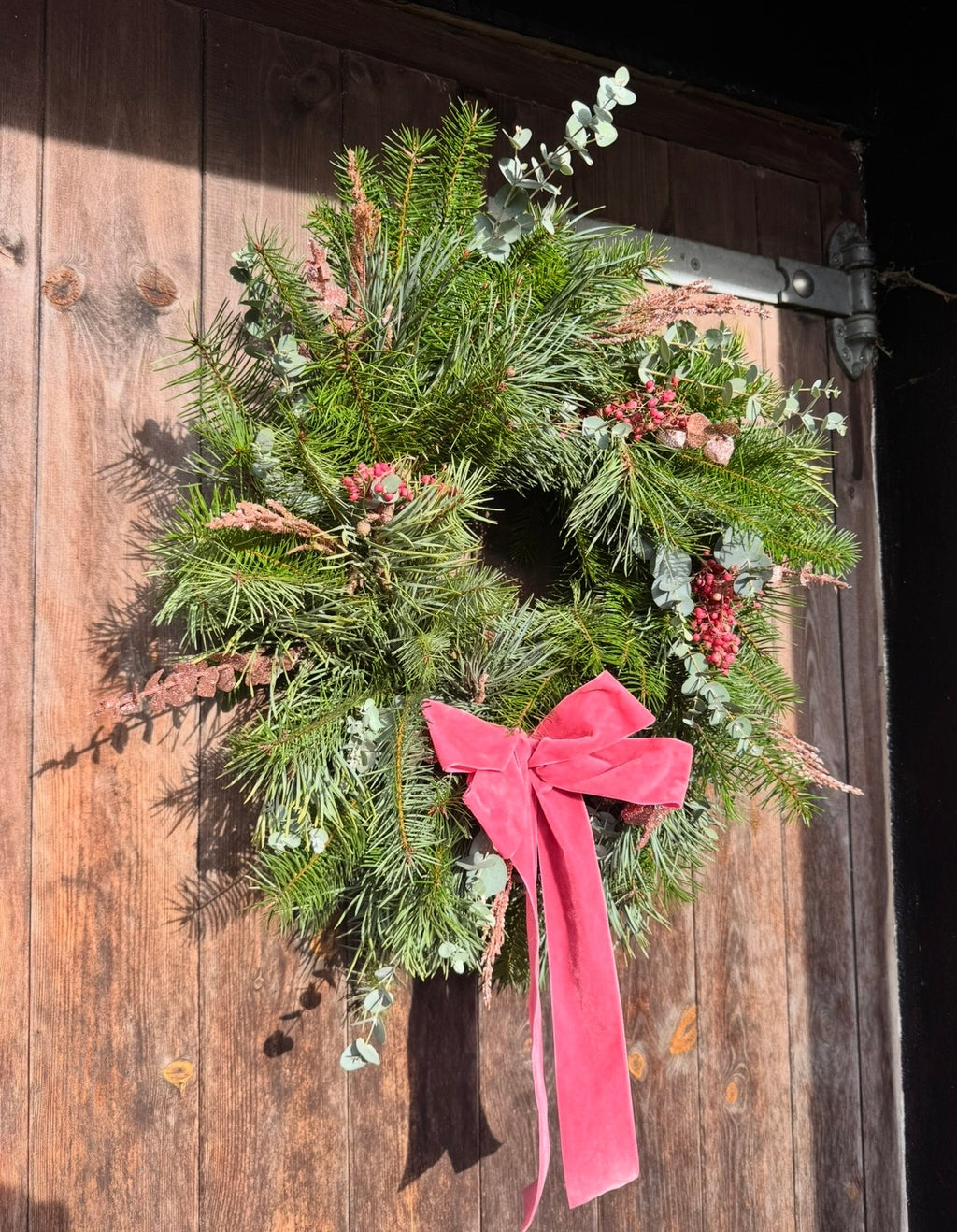 Winter Door
