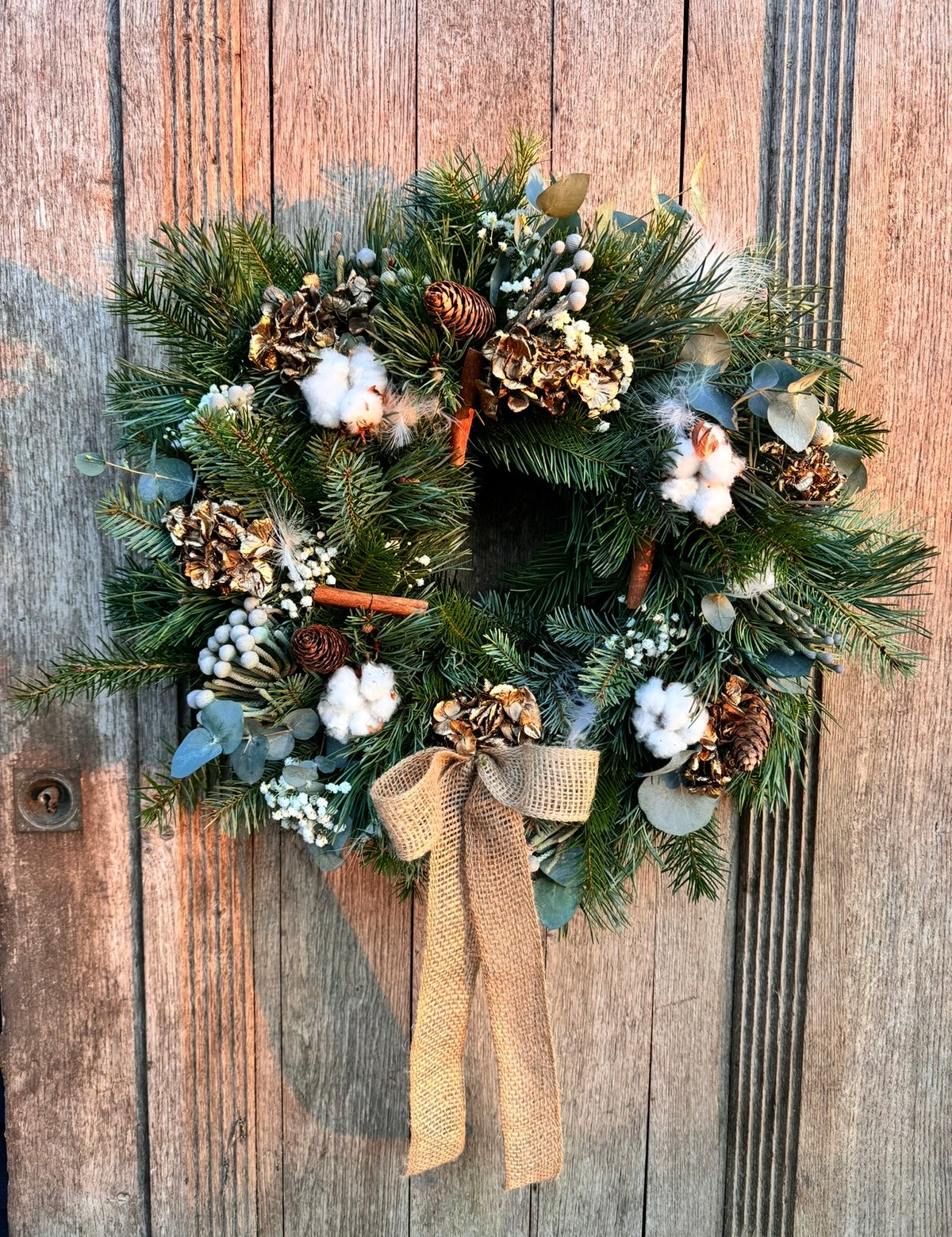 Winter Door