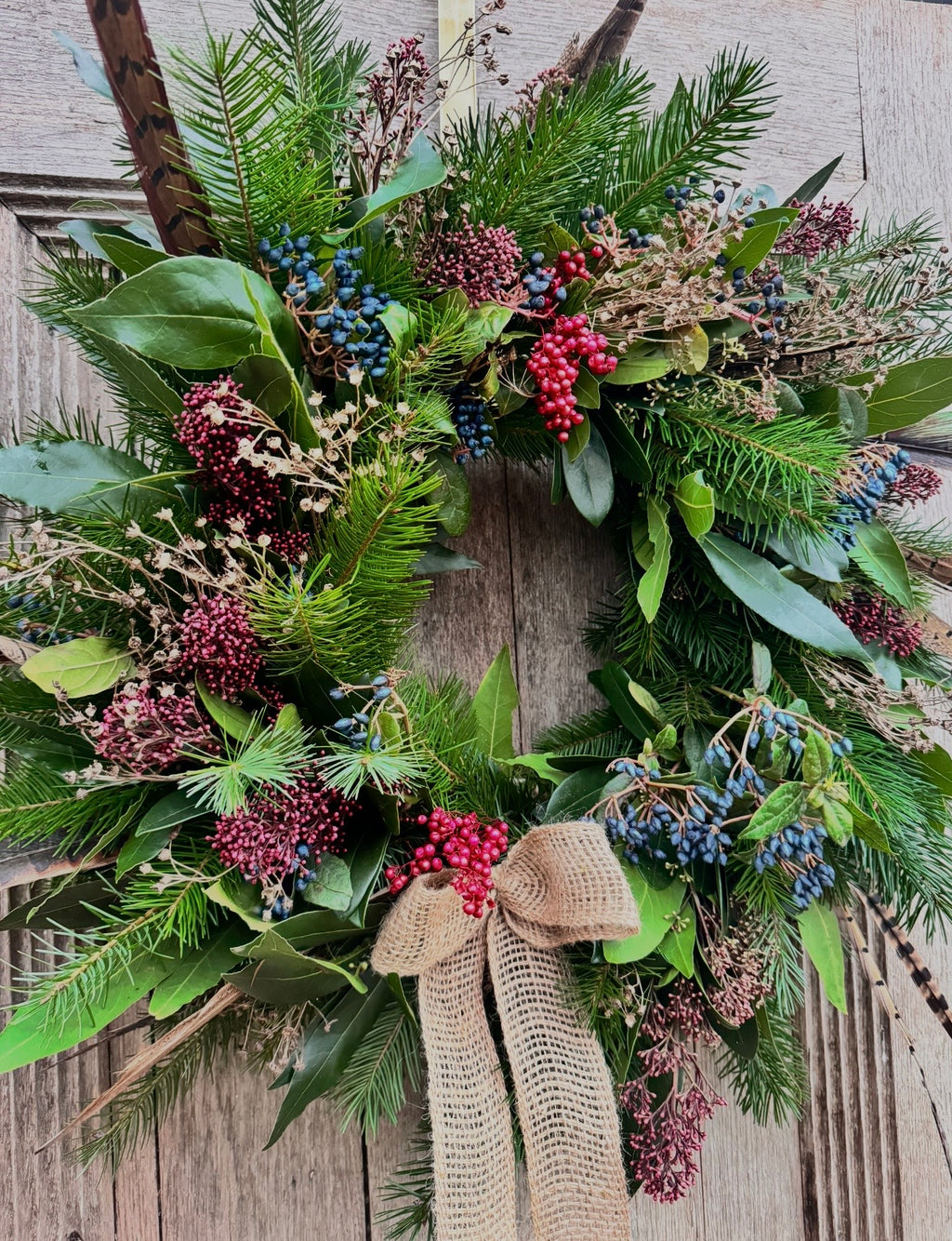 Winter Door