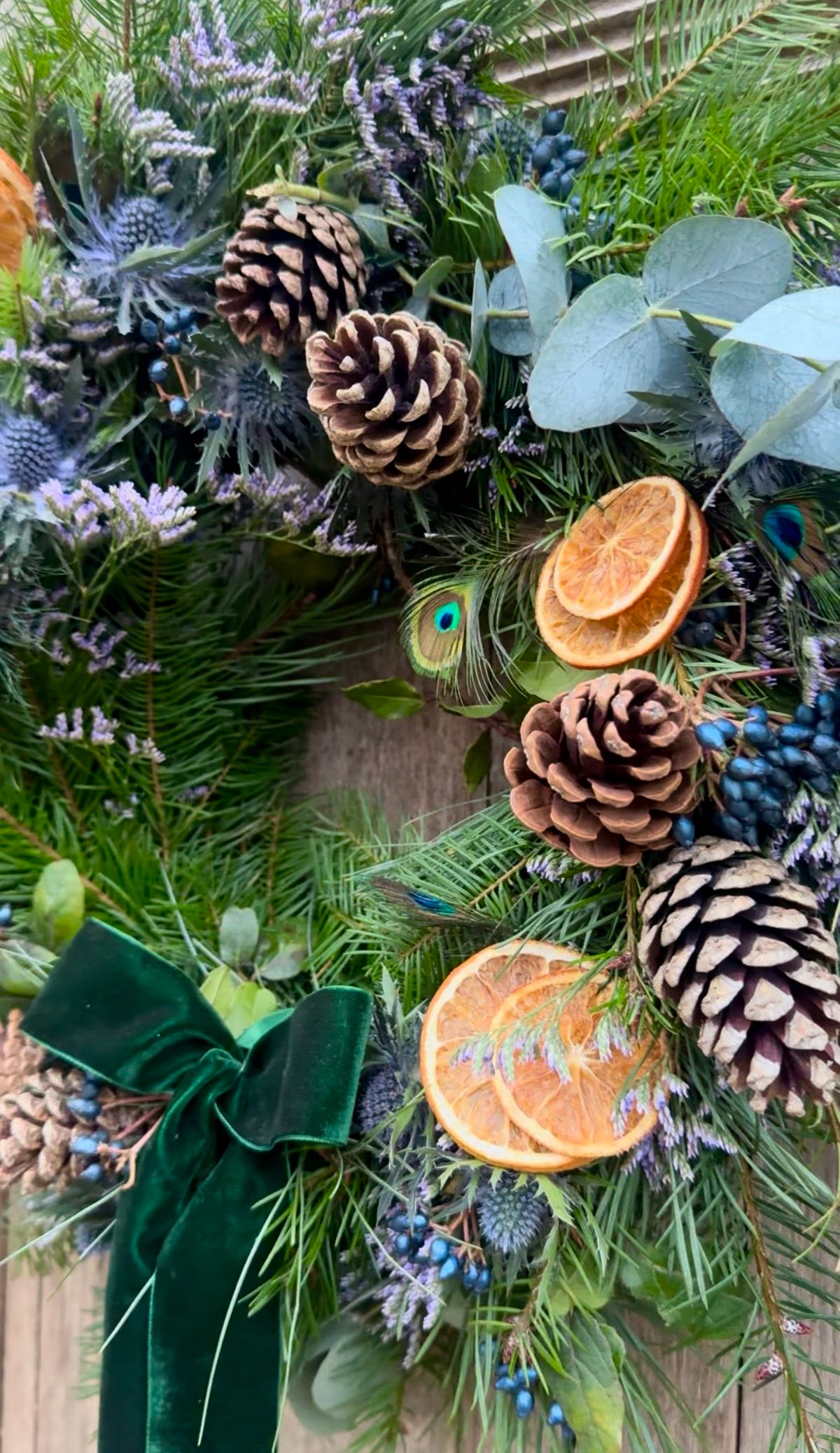 Winter Door